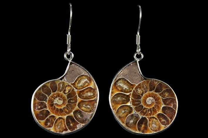 Fossil Ammonite Earrings #112229